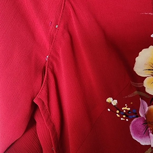 Fashion Sheer Long Sleeve Top - Picture 2 of 5